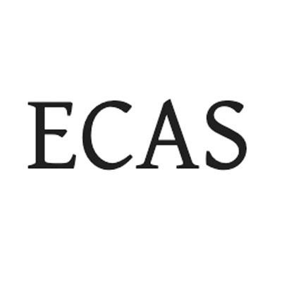 Ремонт пневмо-подвески ECAS китайских тягачей